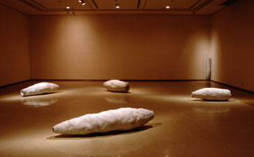 Cocoon3 at Yonago Museum