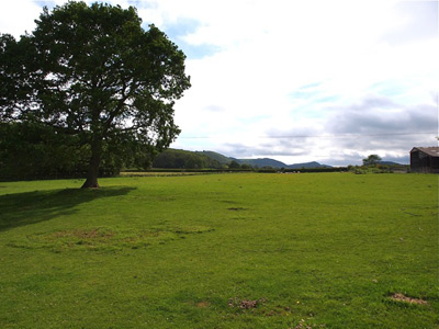 landscape of the Rodd
