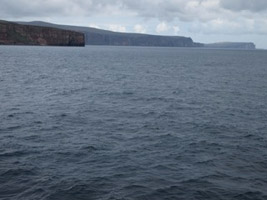 Orkney iland