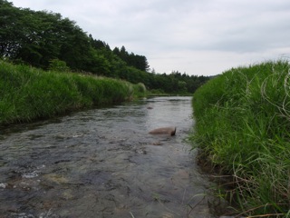 River kobyaku