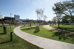 Tsukuba-chuo park